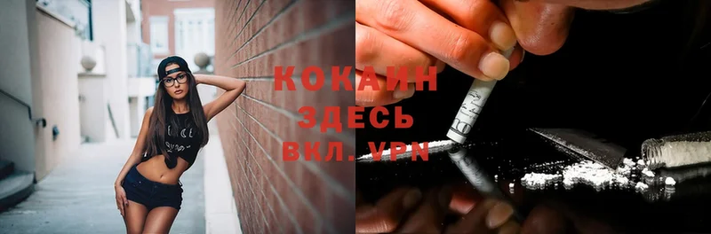 Cocaine Эквадор  купить   Нестеров 